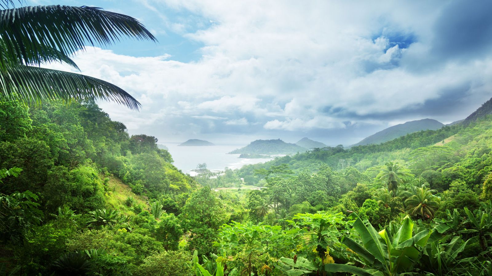 Paraísos cercanos: Seychelles, naturaleza y quietud  | RTVE Play