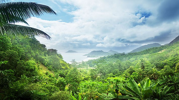 Seychelles, naturaleza y quietud
