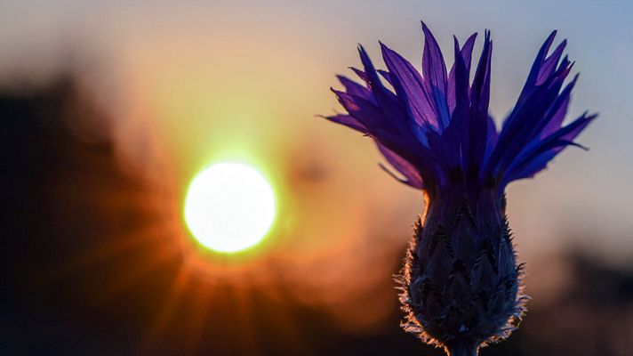 Informativo de Madrid - El Tiempo en la Comunidad de Madrid - 25/07/18