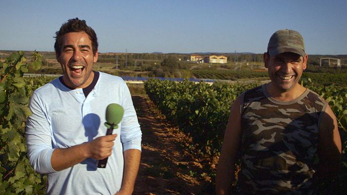 El paisano - El Paisano' visita Sotés en época de vendimia