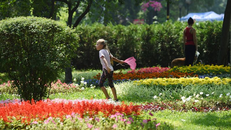 Seis provincias en alerta por lluvias, tormentas y altas temperaturas de hasta 36 grados