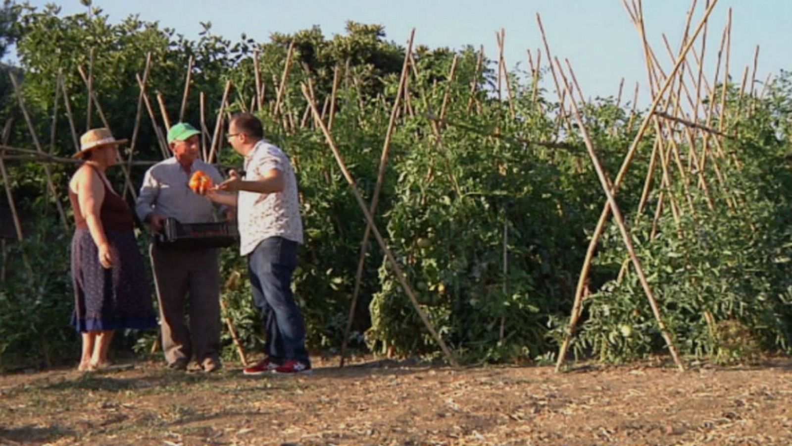 Los huevos de toro de Coín