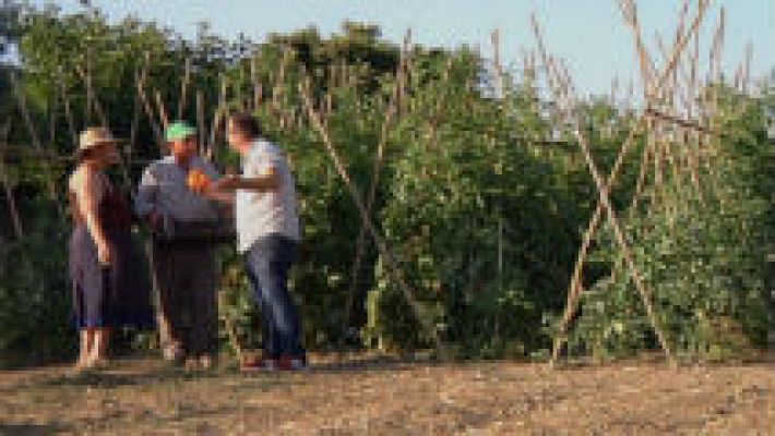 Aquí la Tierra - Los huevos de toro de Coín