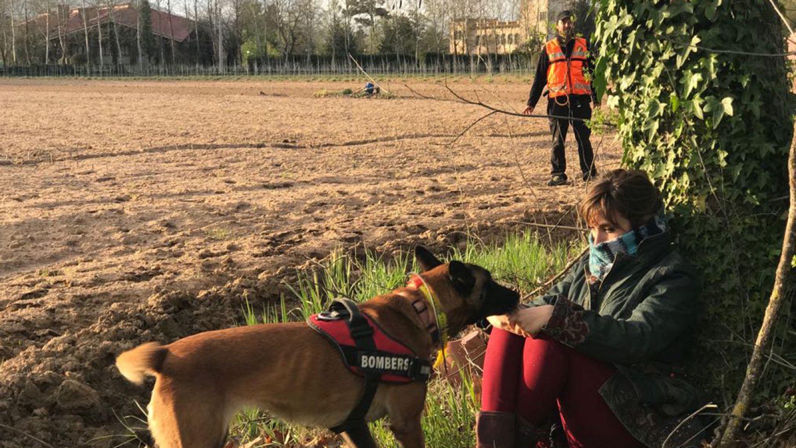 La meva mascota i jo - L'ensinistrament de gossos