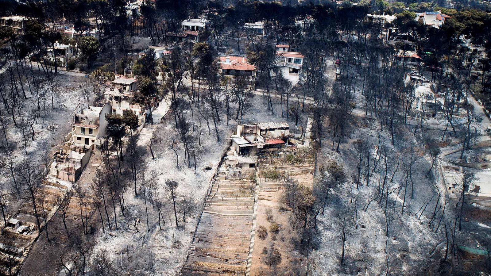Incendios en Grecia | Críticas por la gestión de los incendios