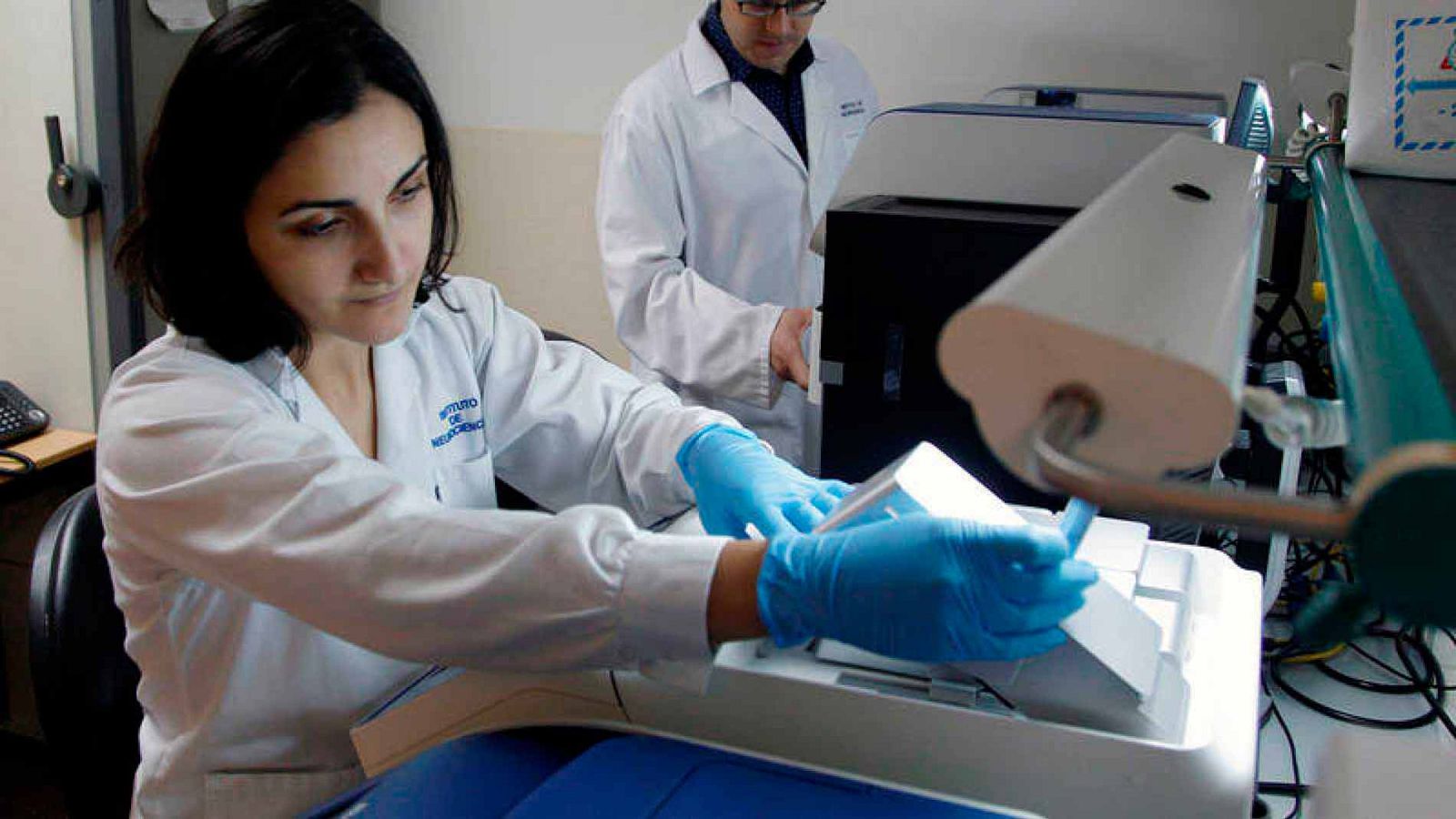 Encuesta de Población Activa | El número de parados bajó en más de 300.000 personas en el segundo trimestre