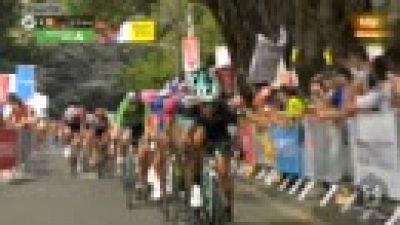 El francEl francs Arnaud Demare (Groupama) gan la decimoctava etapa del Tour de Francia, disputada entre Trie-Sur-Baise y Pau, de 171 kilmetros, y el britnico Geraint Thomas (Sky) mantuvo el maillot amarillo. Demare venci con un tiempo de 3h.46.50, por