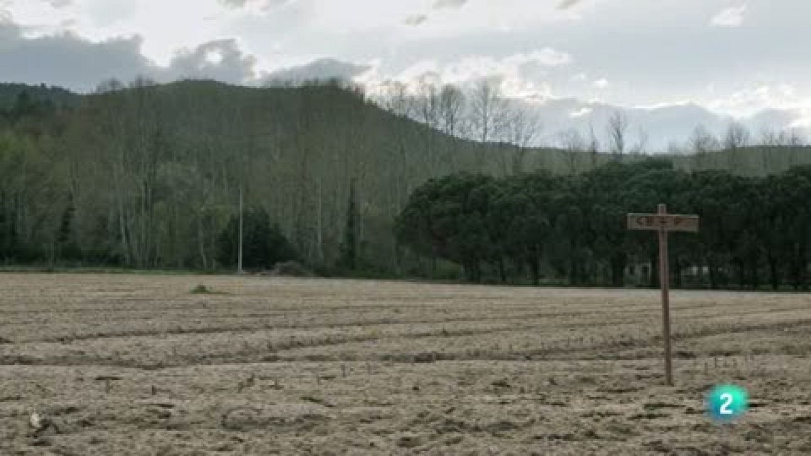 La meva mascota i jo - Entrena amb el teu gos