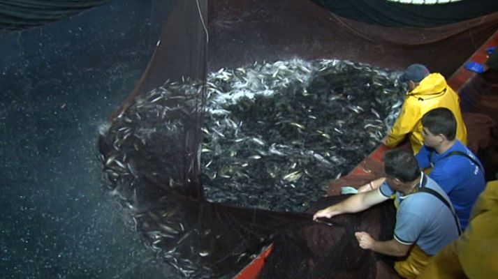 Agrosfera - Agrosfera - 28/07/18