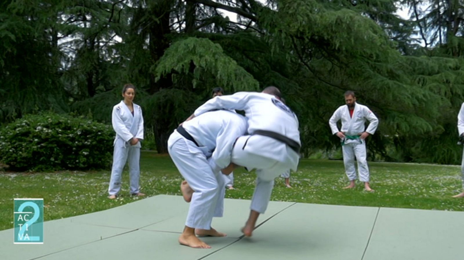 Activa2 - 28/07/18 - ver ahora