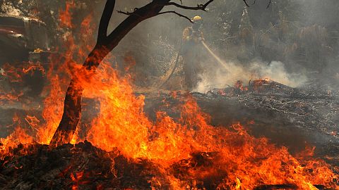En California permanecen activos 17 incendios contra los que luchan unos 7.000 bomberos