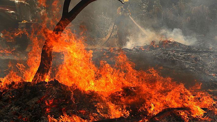 Trump declara el estado de emergencia en California debido a los incendios