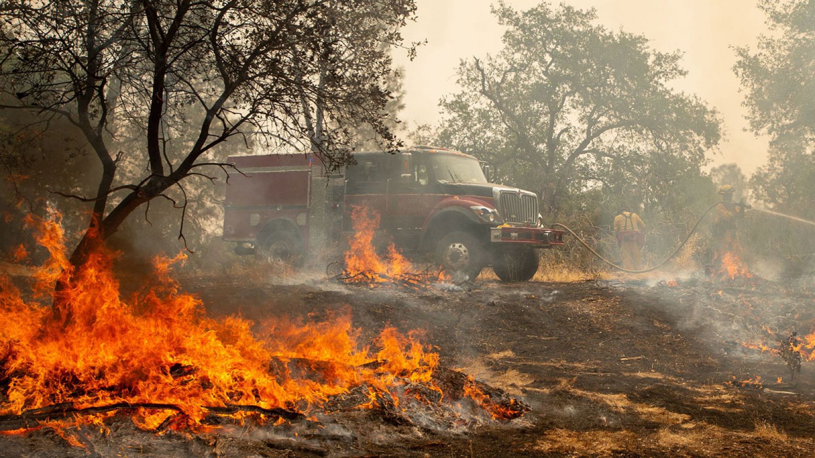 Telediario 1: Trump declara el estado de emergencia en California tras los incendios que arrasan miles de hectáreas | RTVE Play