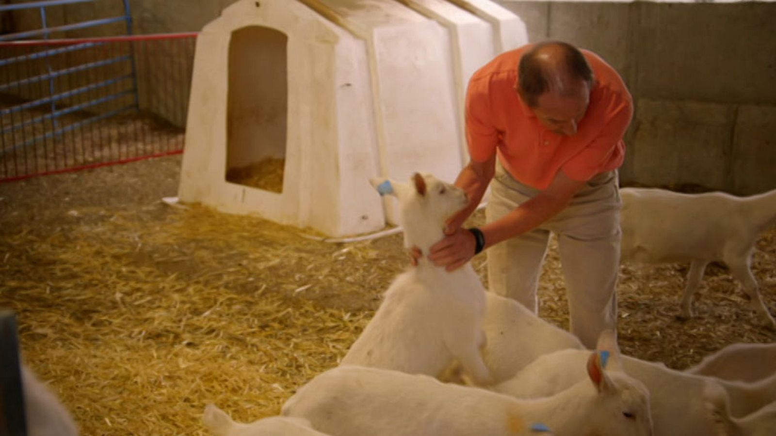 Otros documentales - Extrañas maravillas del mundo. Episodio 1 - RTVE.es