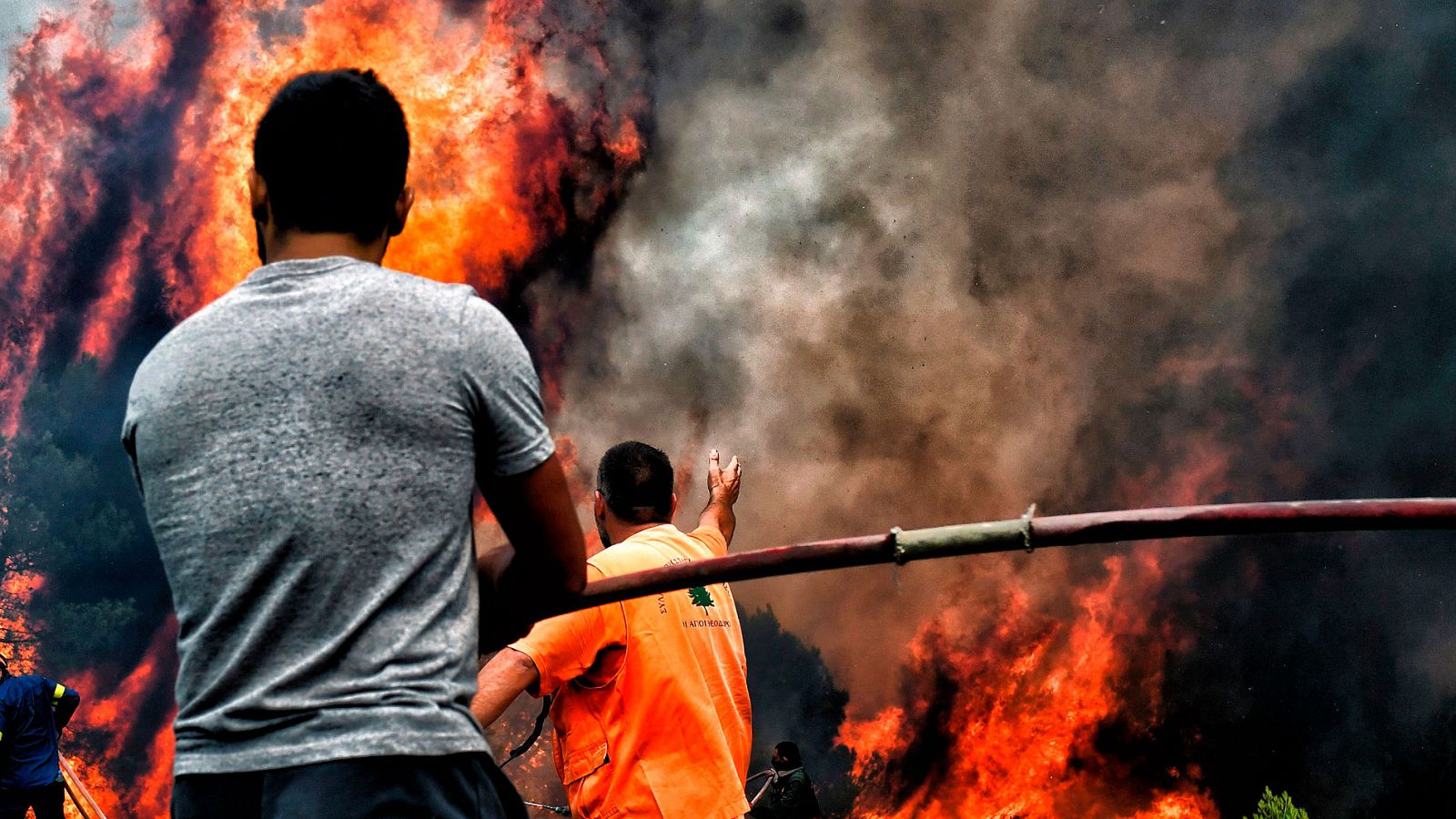 Incendios en Grecia | Sube a 91 la cifra de víctimas mortales