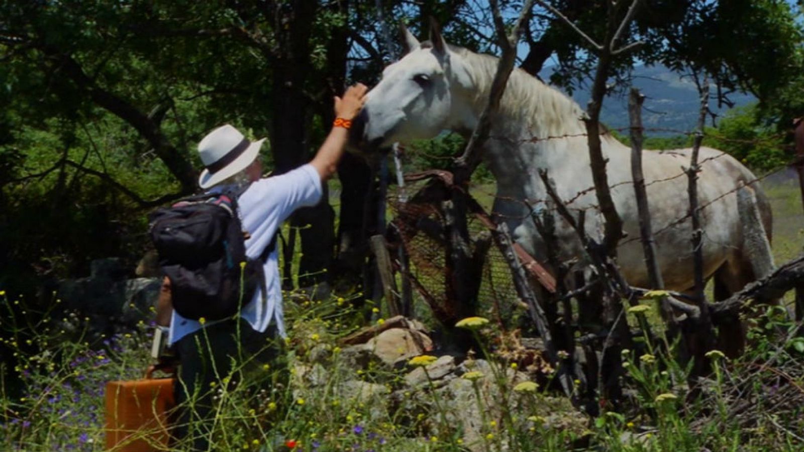 El maletín de Juan Plantas para estas vacaciones