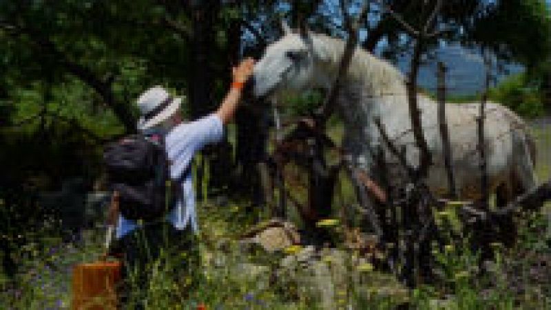 El maletín de Juan Plantas para estas vacaciones