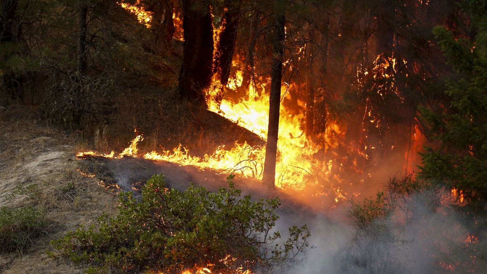En California 20 incendios siguen activos avivados por las altas temperaturas.