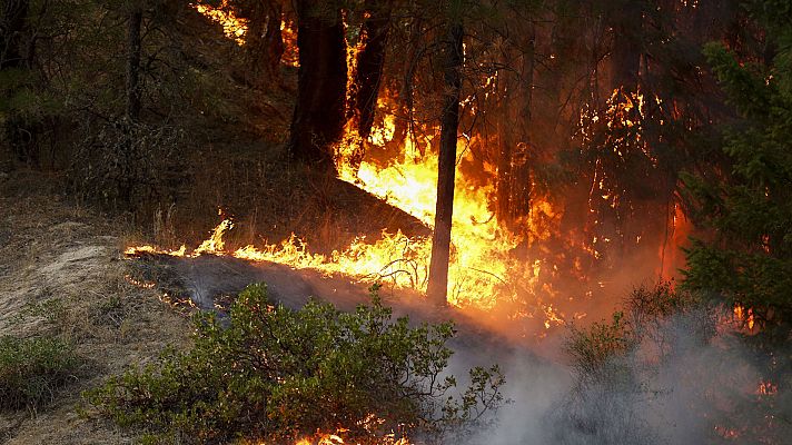 En California 20 incendios siguen activos avivados por las altas temperaturas