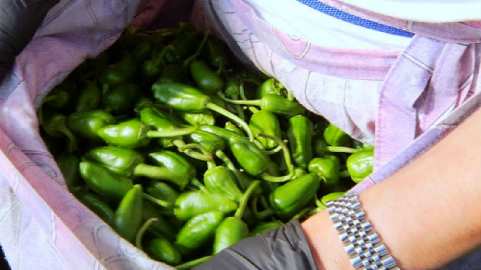 Pimientos de Herbón: pequeños pero matones
