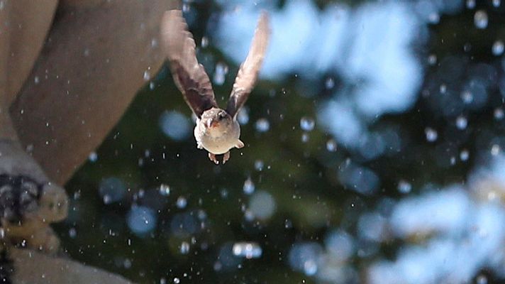 Informativo de Madrid - El Tiempo en la Comunidad de Madrid - 01/08/18