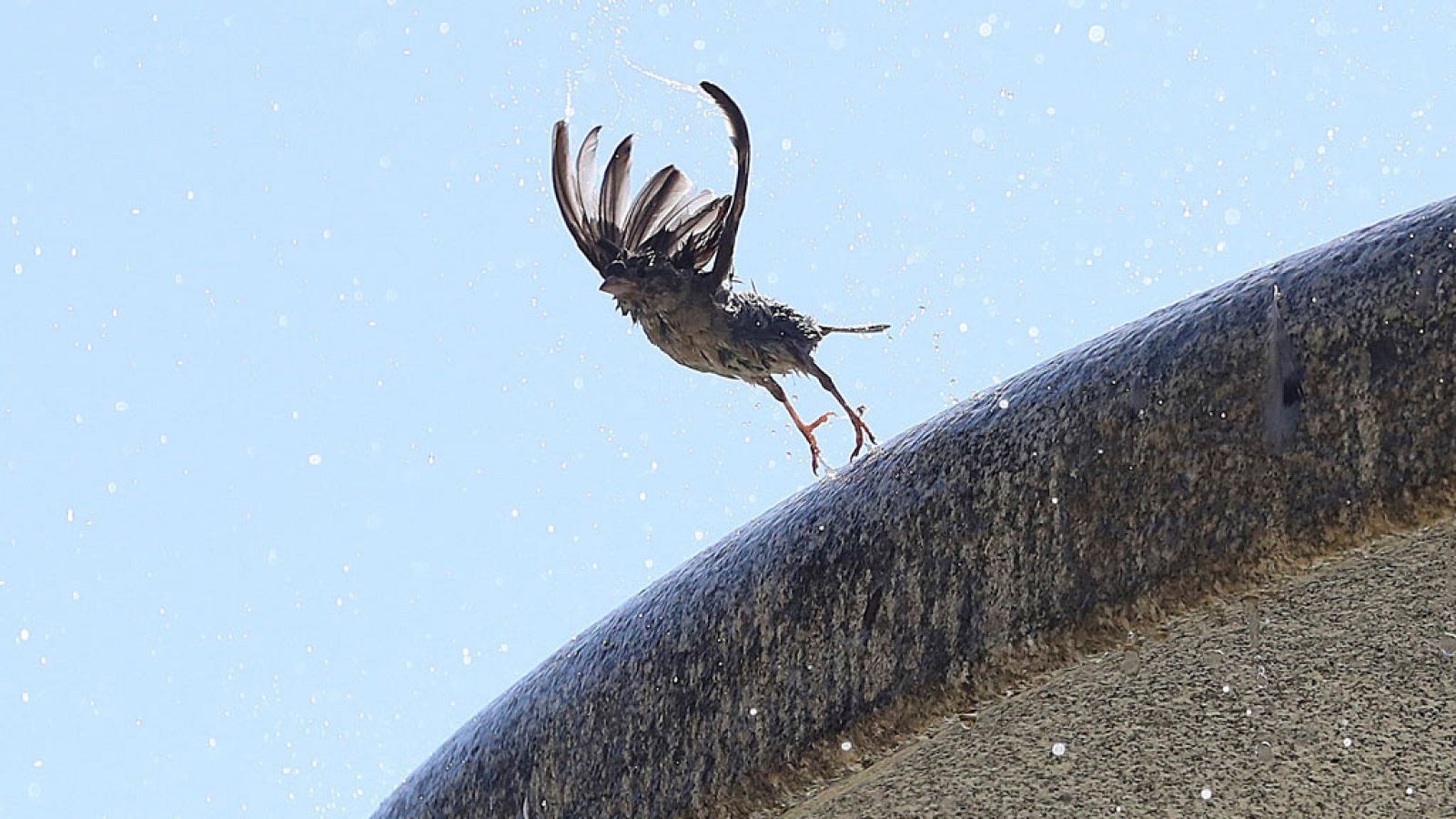 Temperaturas extremas en la Península y las Baleares hasta el lunes inclusive