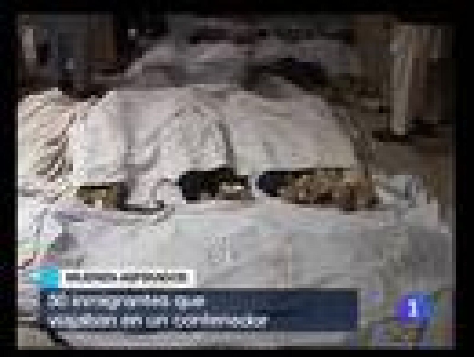 Mueren por asfixia 50 personas que querían entrar clandestinamente en Europa | Ver