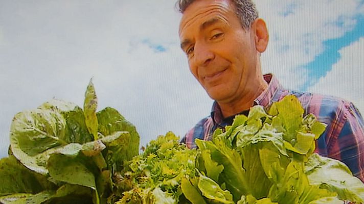 Aquí la Tierra - Lechugas para dar y regalar