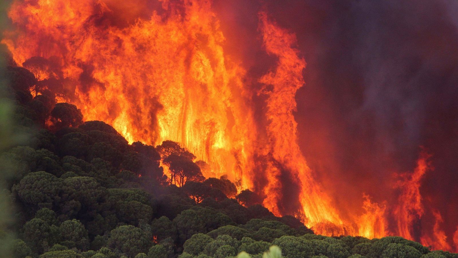Los trabajos para sofocar el fuego de Nerva se han visto afectado por las condiciones meteorológicas