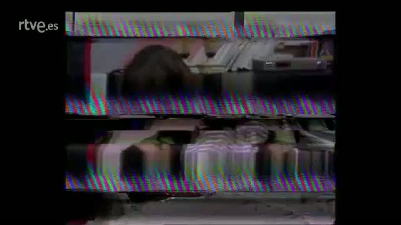 Arxiu TVE Catalunya - Una parella al vostre gust - Posi una gata a la seva vida