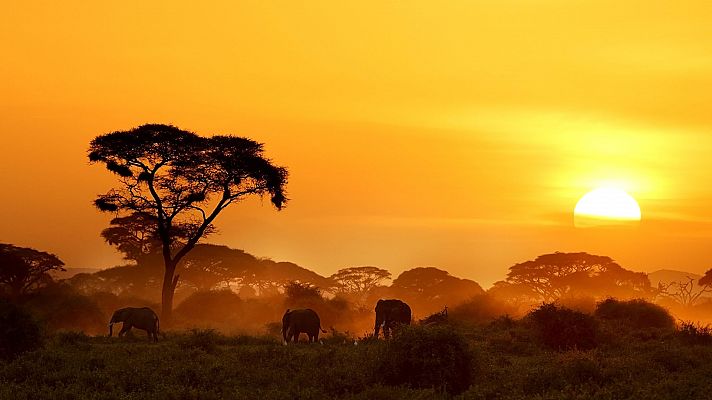 Kenia, la cima africana