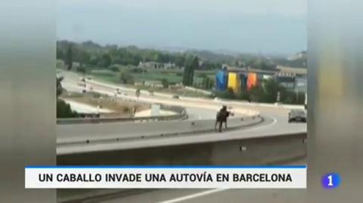 Un caballo desbocado invade una autovía en Barcelona