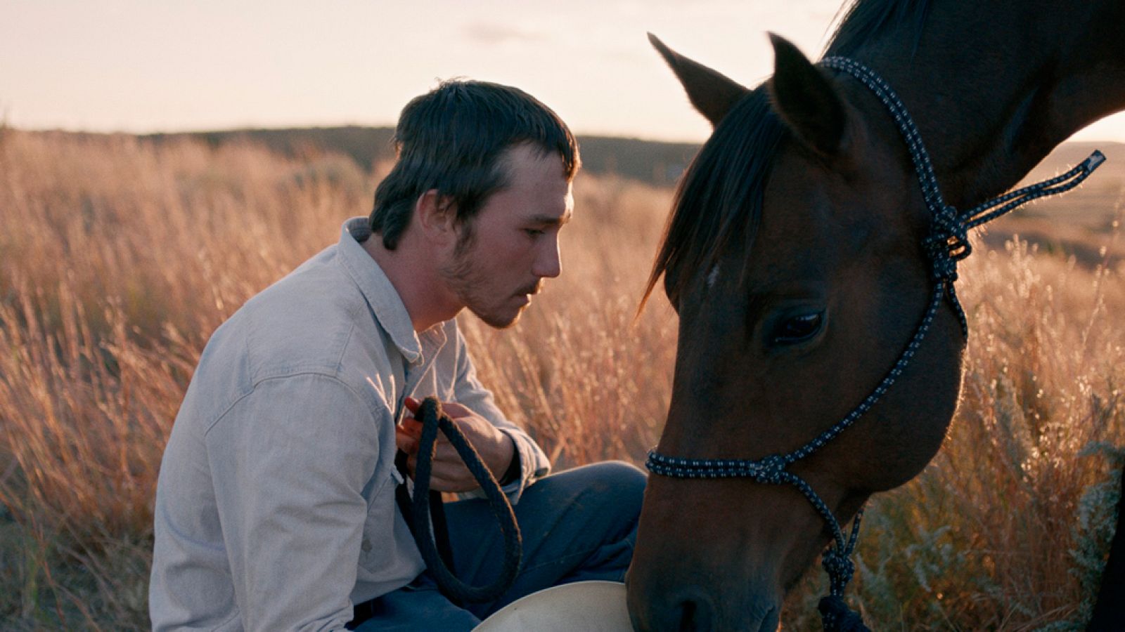 Tráiler de 'The Rider'