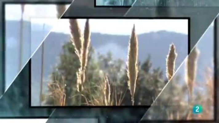 La Missa - La Missa - 05/08/2018