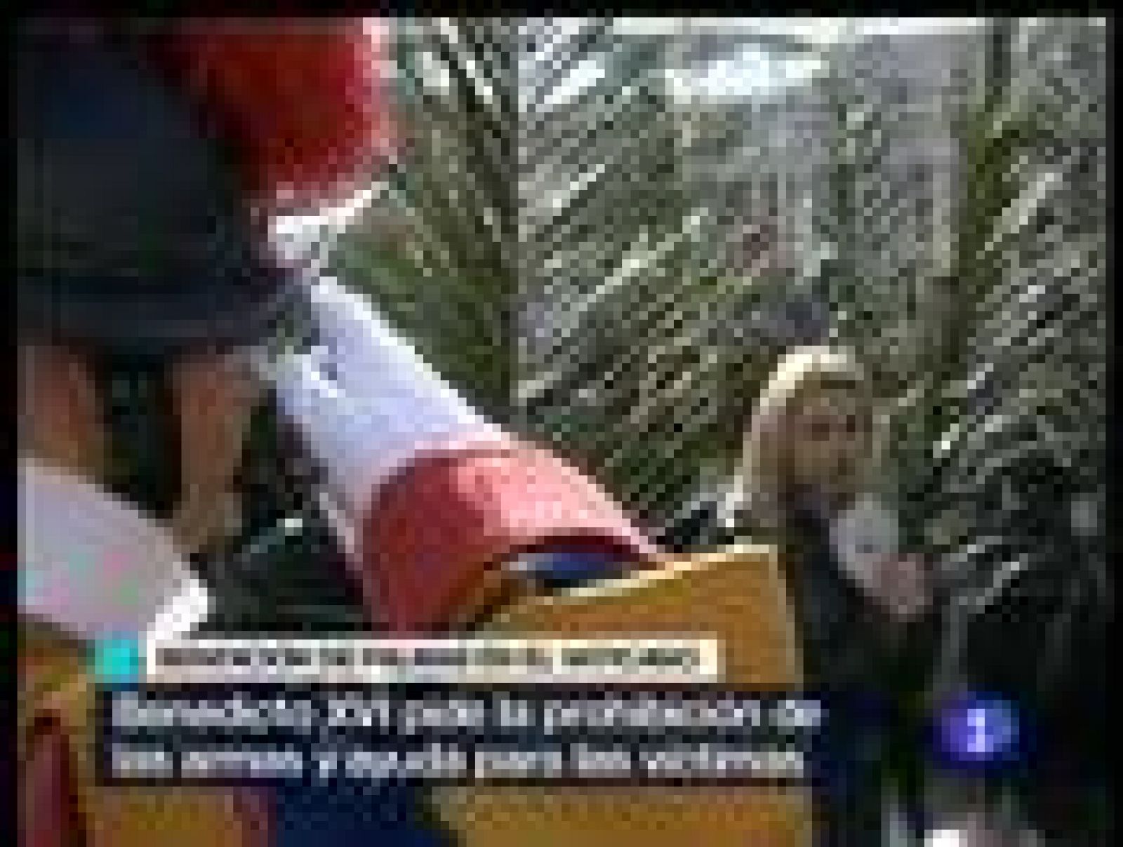 El Papa pide la prohibición de las armas | Ver