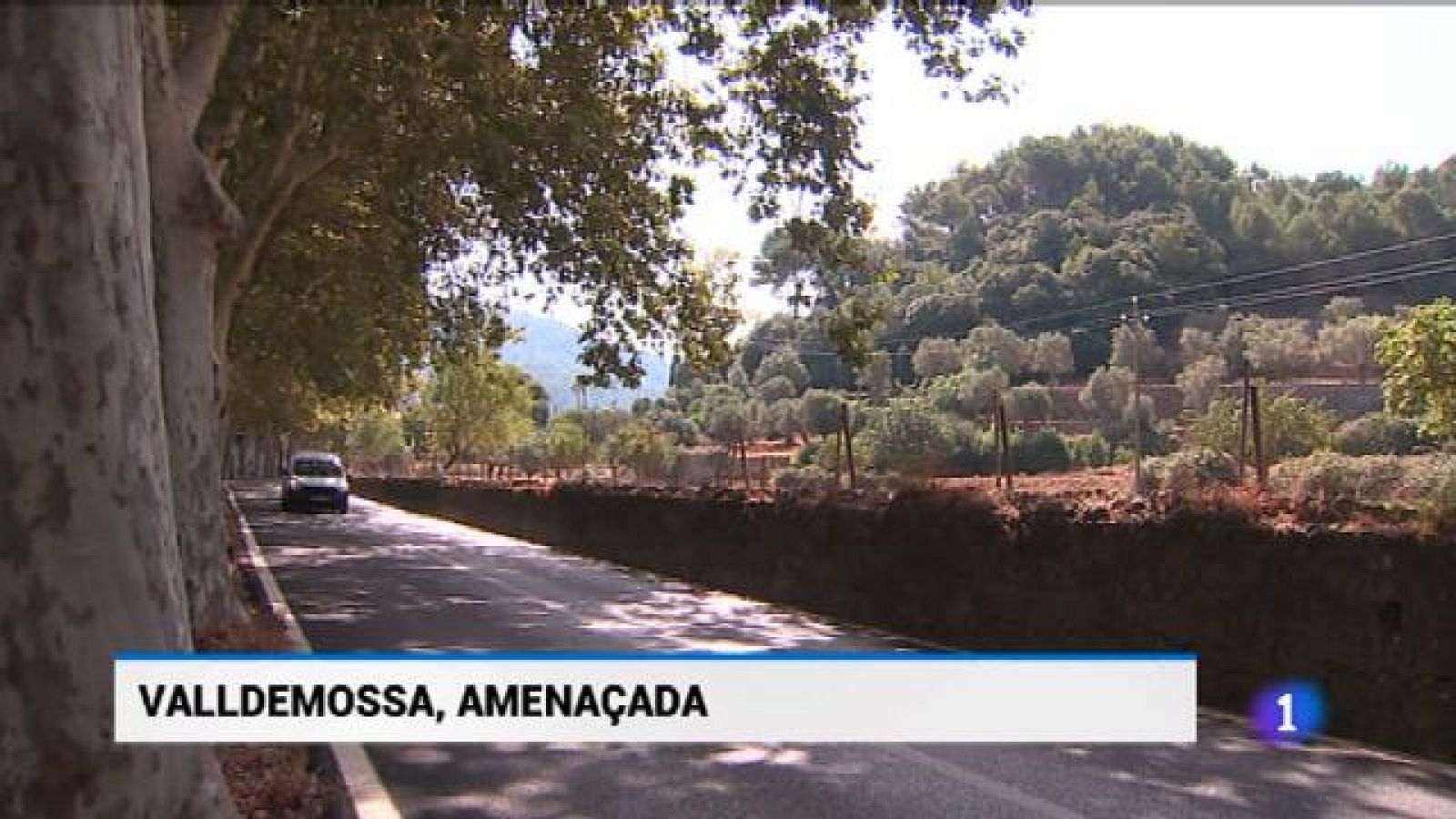 Informatiu Balear - 08/08/18