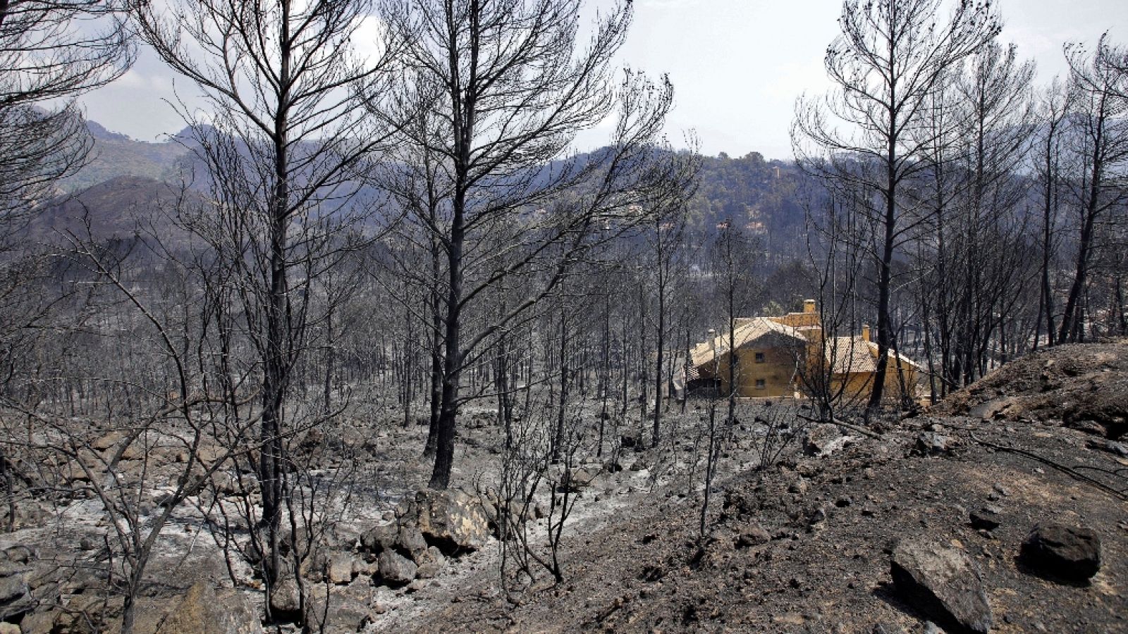 L'Informatiu - Comunitat Valenciana 2 - 09/08/18 - ver ahora