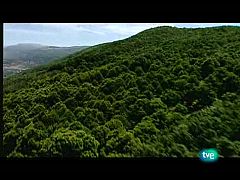 Espacios naturales - Nuestros parques nacionales - Monfragüe