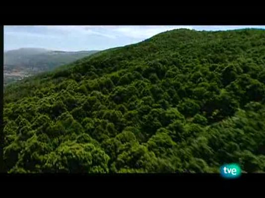 Espacios naturales - Monfragüe