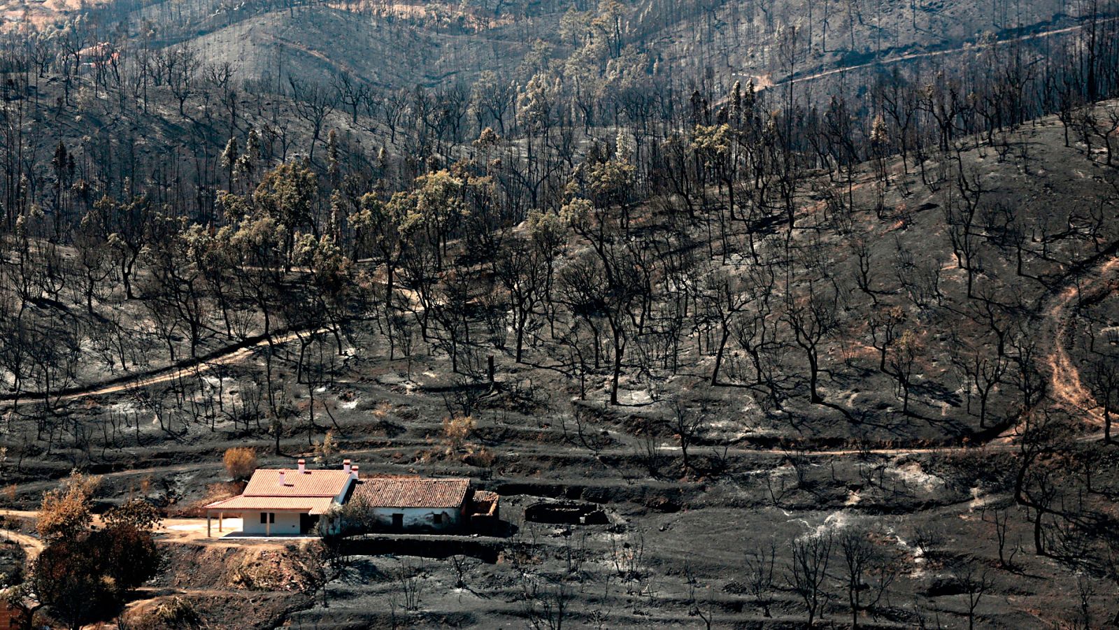 El fuego que arrasa el Algarve ya está controlado