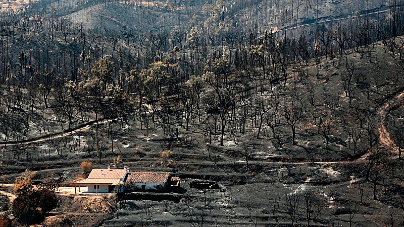 El fuego que arrasa el Algarve ya está controlado
