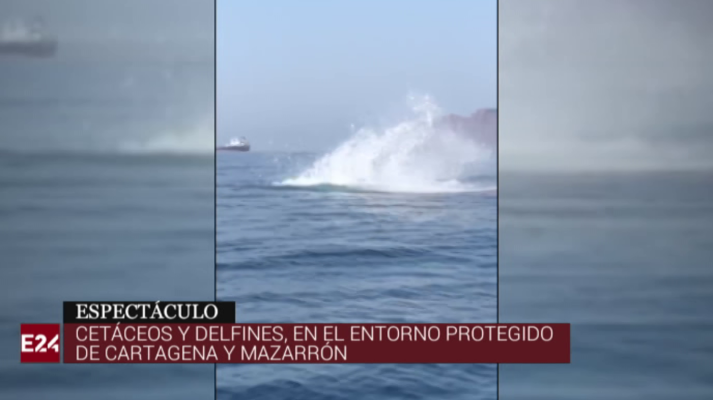 España en 24h - España en 24 horas - 10/08/18