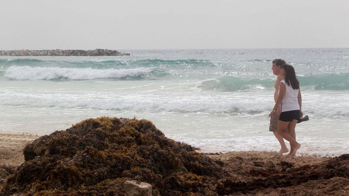 Doce provincias en alerta por temperaturas altas, lluvias y tormentas