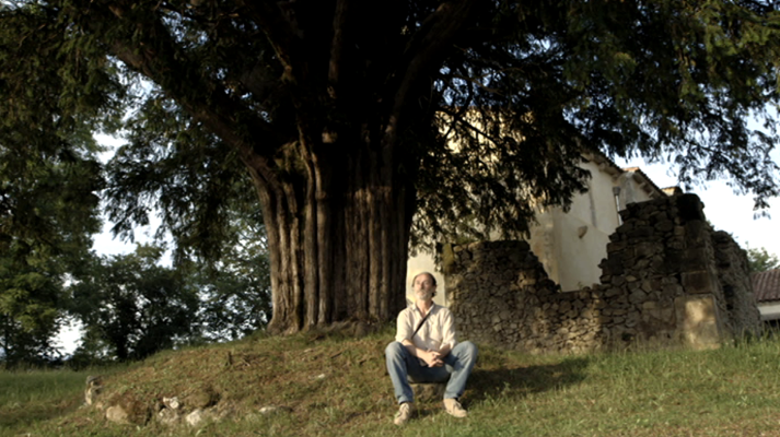 EnArbolar: Grandes árboles para la vida - El árbol y el hombre