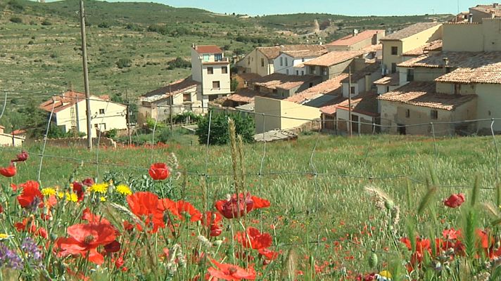Comando Actualidad - Un verano de altos vuelos