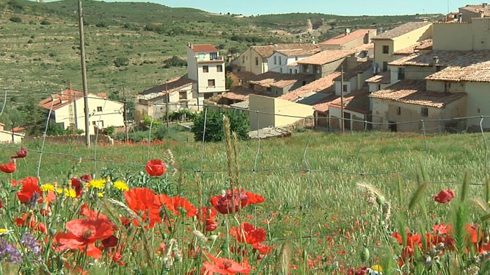 Comando Actualidad - Un verano de altos vuelos