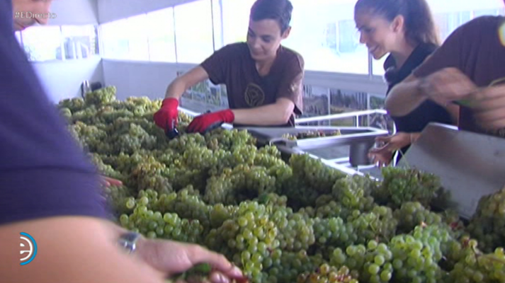 España Directo - España Directo - 16/08/18