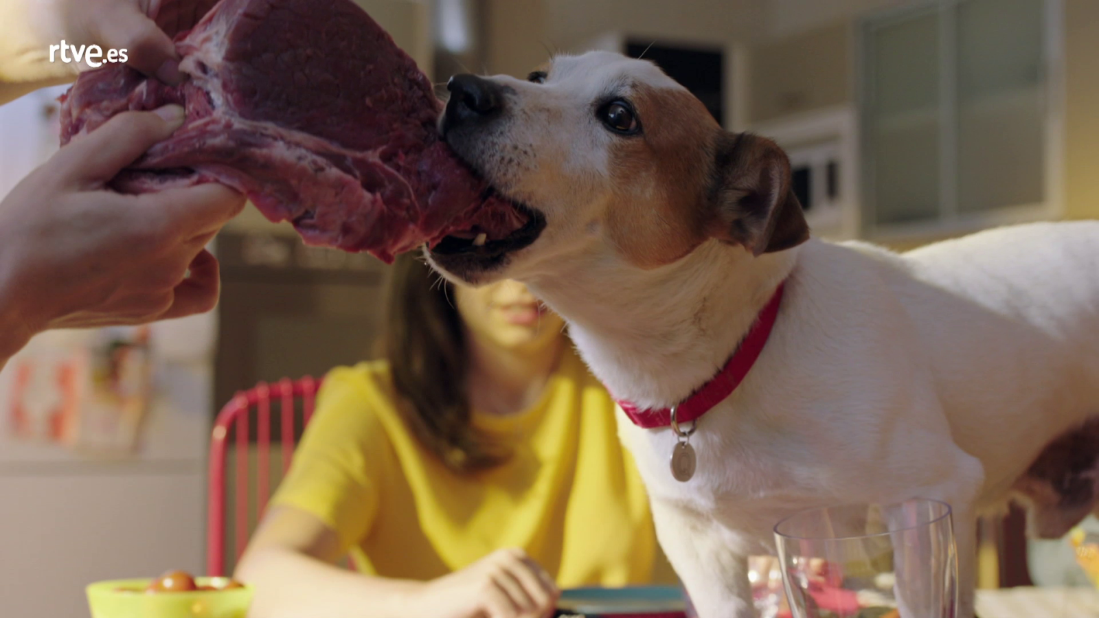 Sabueso - Max ingiere por error pastillas de éxtasis