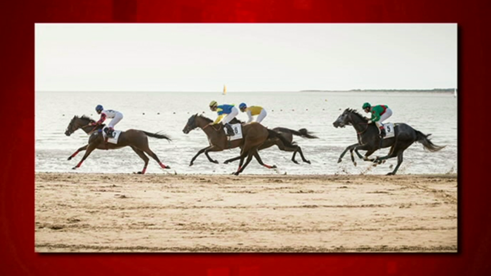 Saber y ganar. Edición de fin de semana - 18/08/18 - ver ahora