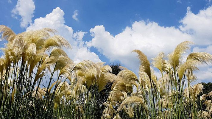 Informativo de Madrid - El Tiempo en la Comunidad de Madrid - 20/08/18